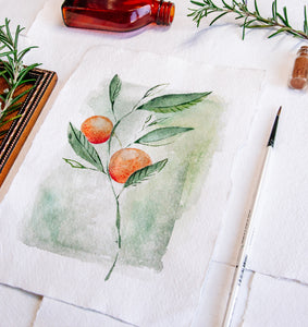 Fresh Oranges - Original A5 watercolour