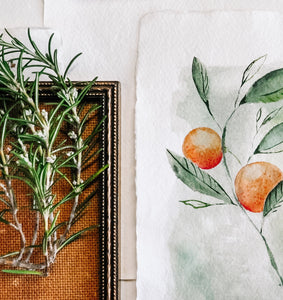 Fresh Oranges - Original A5 watercolour